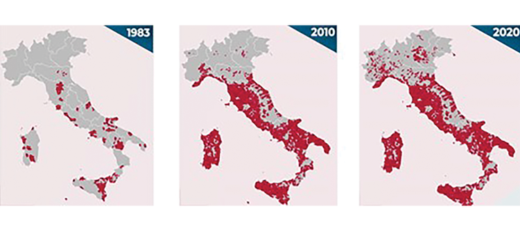 mappa aggiornata diffusione leishmaniosi