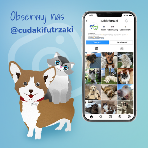 Instagram cudakifutrzaki