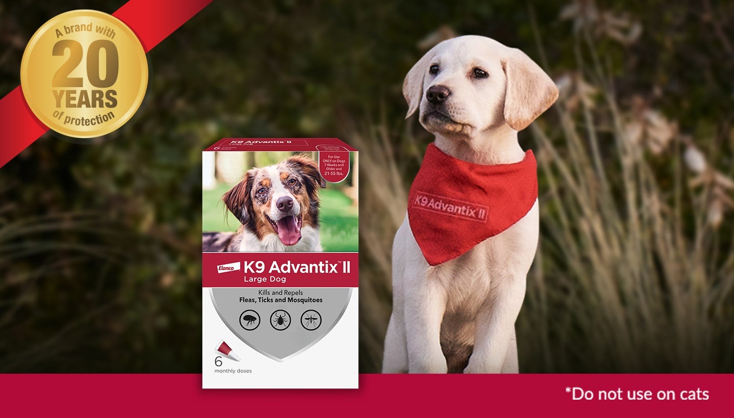 A lab puppy standing up with K9 Advantix® II for dogs package overlay