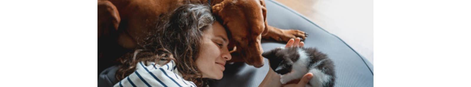 Pet owner with dog and kitten