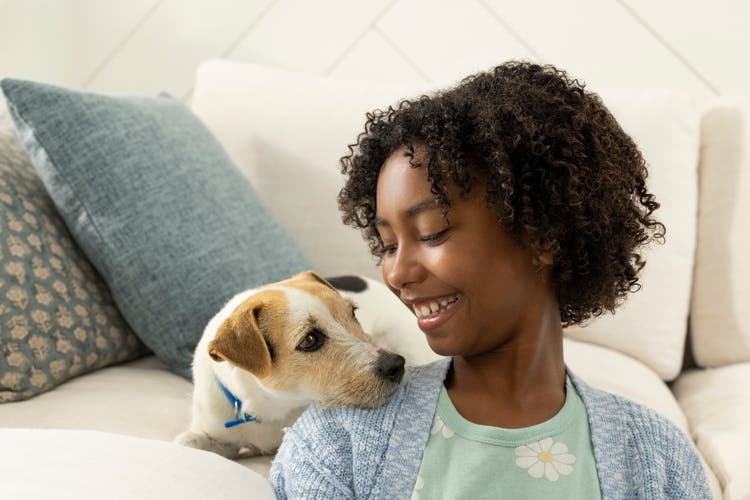 Itchy dog with owner on couch