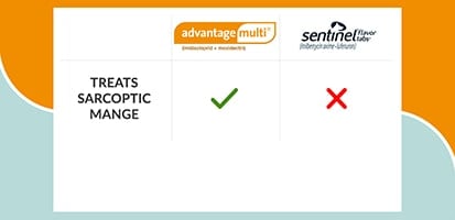 sarcoptic mange treatment comparison chart of Advantage Multi vs Sentinel