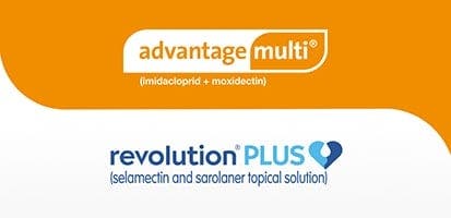 advantage multi revolution logo