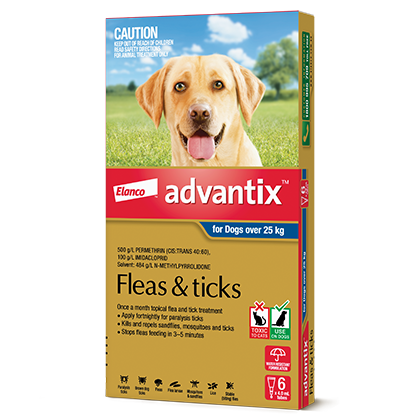 Advantix for dogs over 25 kg packshot