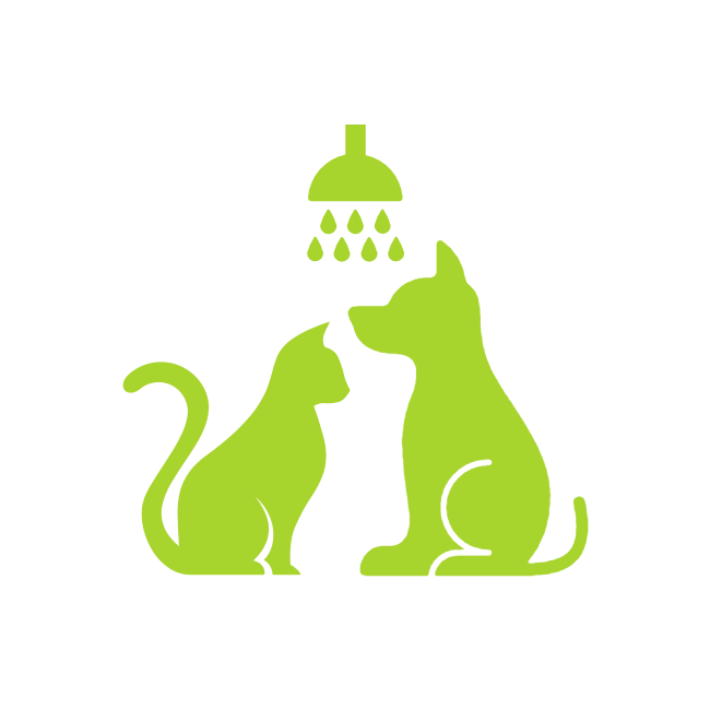 Imagen de perro y gato en grooming 