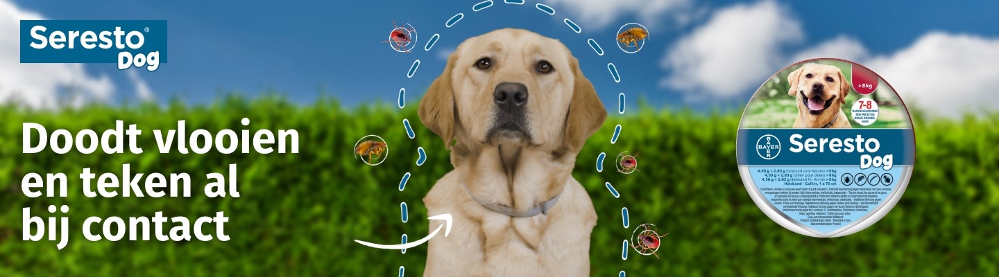 Seresto Dog Halsband homepage banner