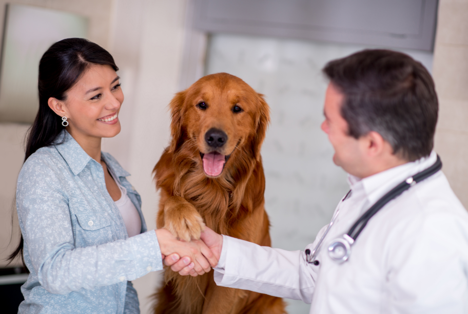 Foto van een baasje en haar hond die de dierenarts een hand geven