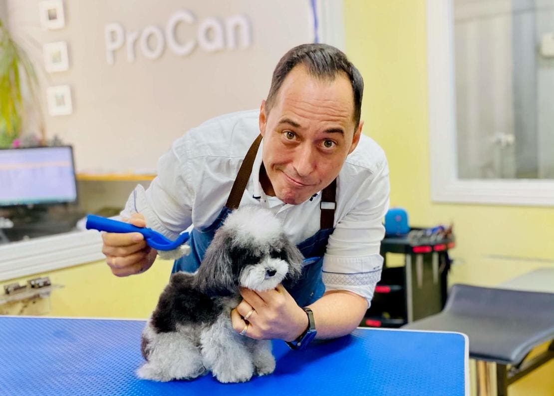 Cepillado del caniche