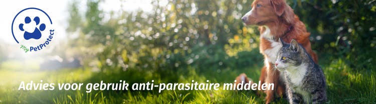 Een hond en kat zittend in een zonnig grasveld met het MyPetProtect-logo en de tekst 'Advies voor gebruik anti-parasitaire middelen'