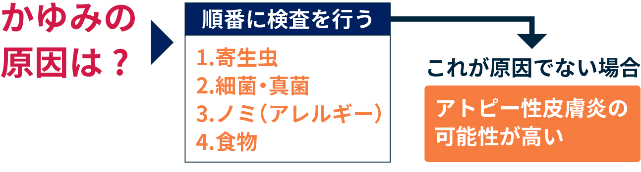 かゆみの原因は？