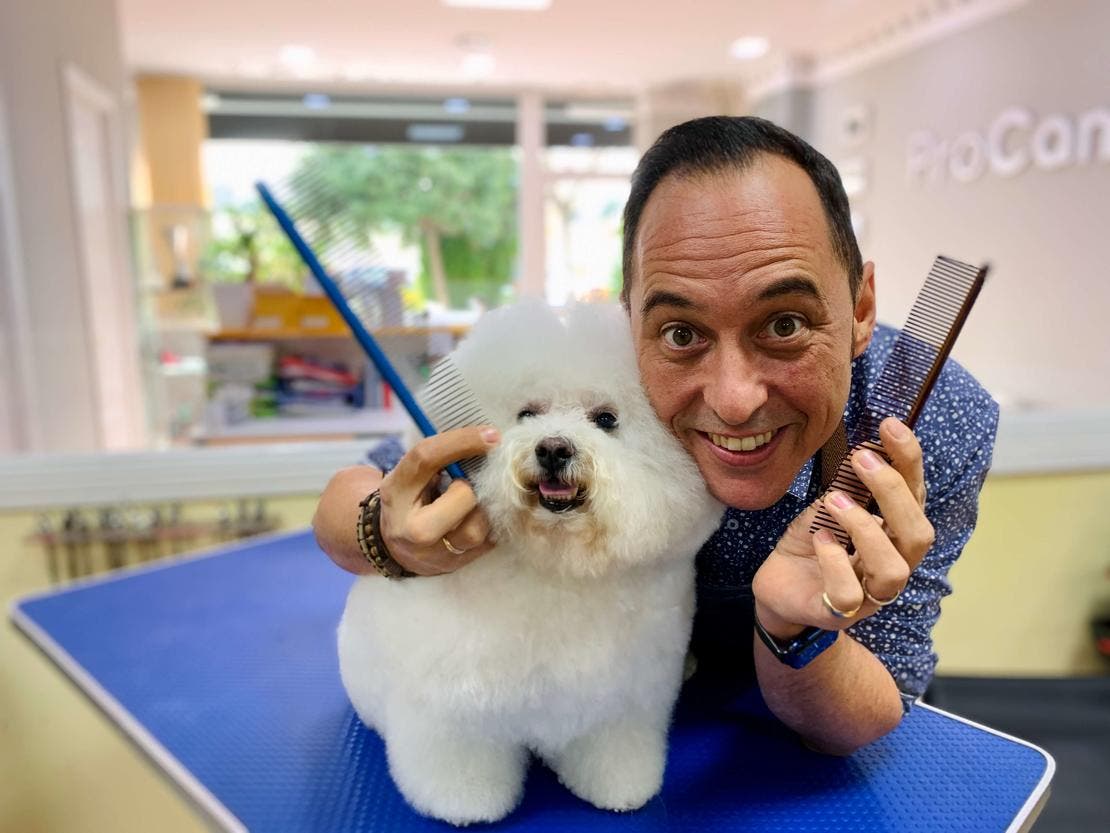 Peine cepillado perro
