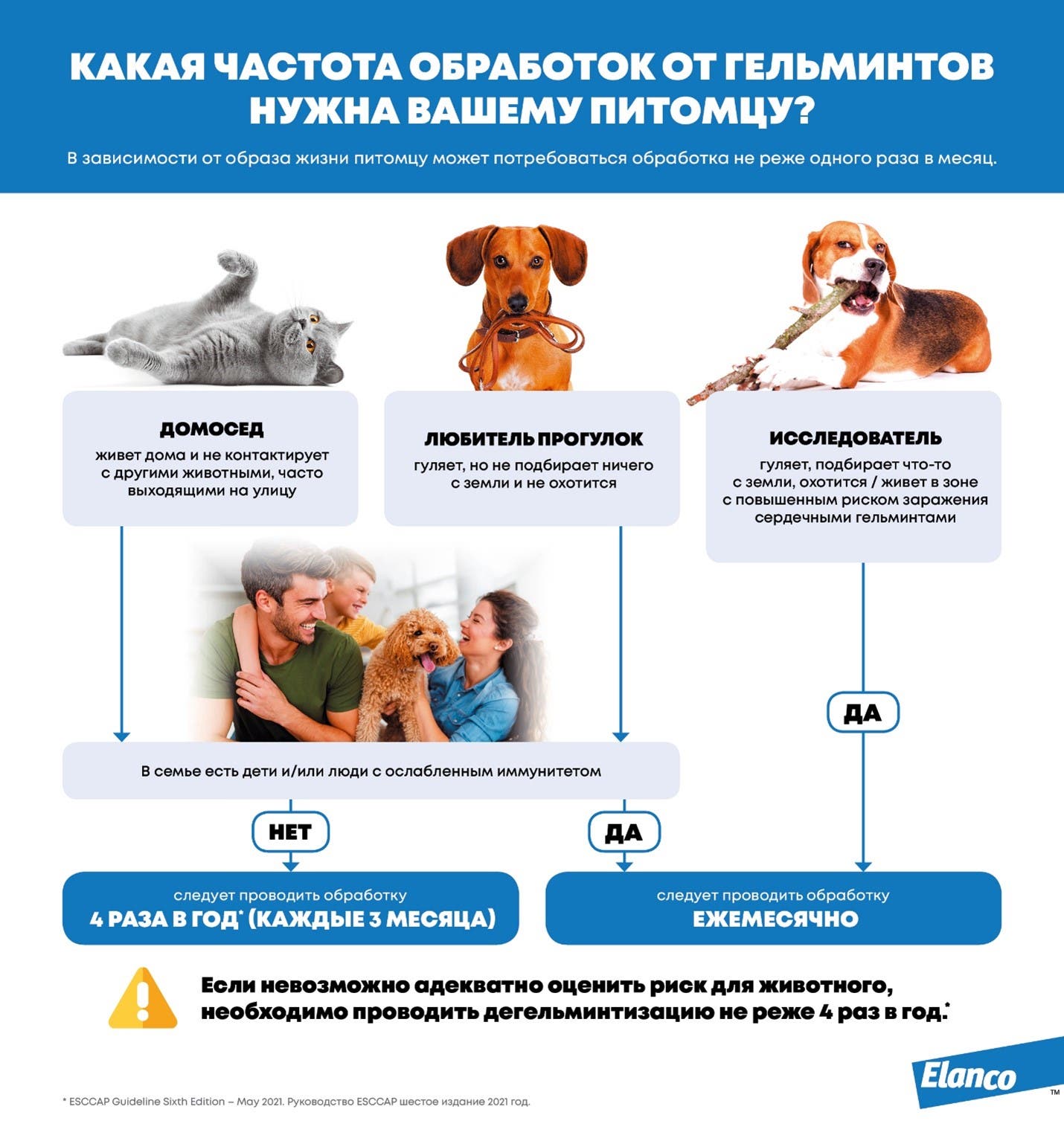 Могут ли люди заразиться глистами от кошек и собак – как и где