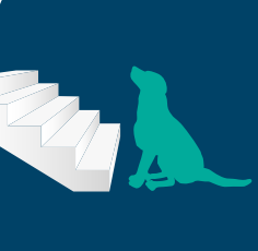 Immagine di cane davanti alle scale