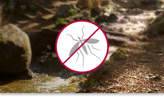 Drawing of a mosquito in a strikethrough circle on an opaque forest background