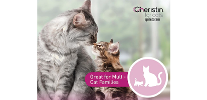 Cheristin flea treatment store topical for cats