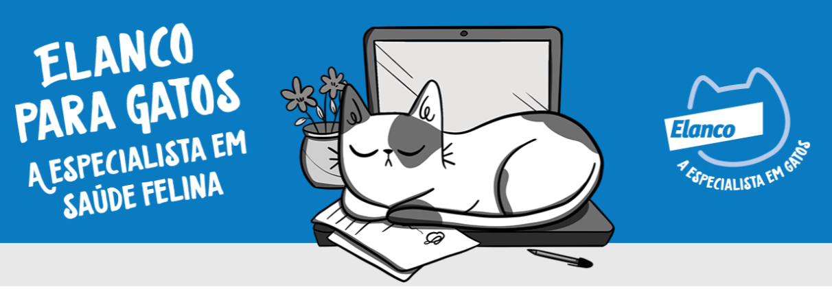 Um banner azul com um gato deitado em cima de um notebook e a frase Elanco para gatos, a especialista em saúde felina