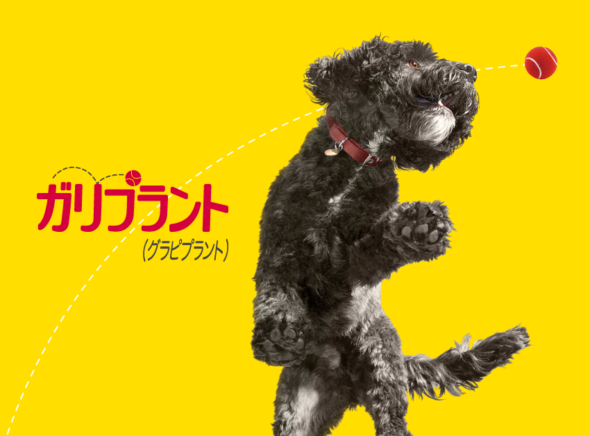 ガリプラント® | エランコジャパン株式会社 ペットオーナー様向け