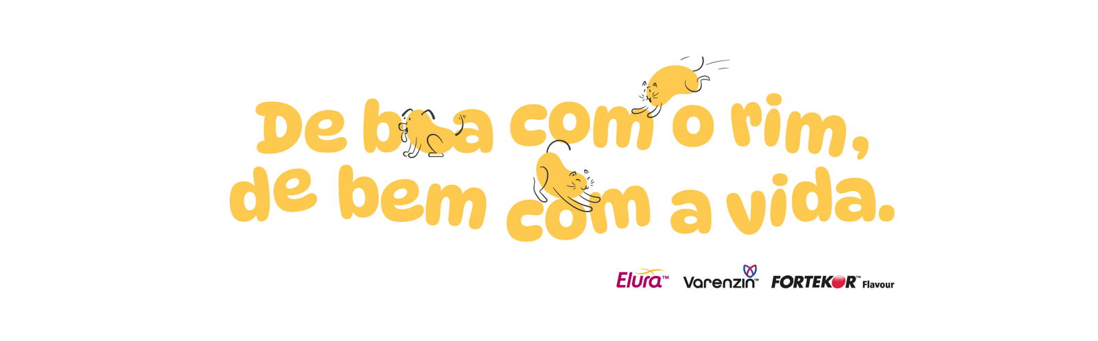Banner branco com letras amarelas escrito "De boa com o rim, de bem com a vida" com os olhos de Elura™, Varenzin™ e Fortekor™ na parte inferior direita.