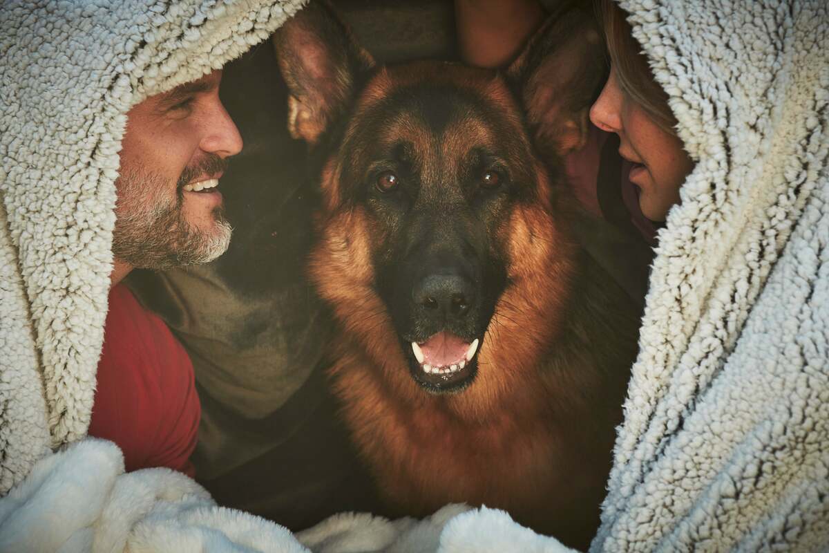 Comprehensive protection from intestinal worms