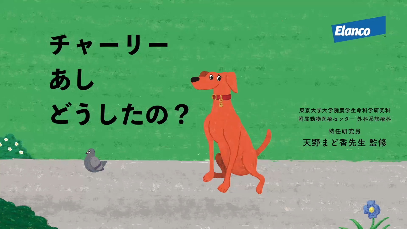 チャーリー足どうしたの？サムネ