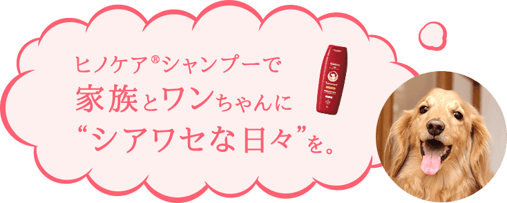 正しいシャンプー＿シアワセな日々を