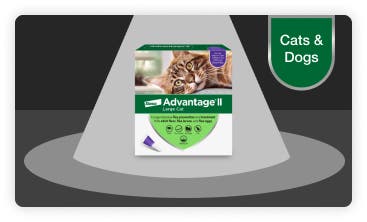 Advantage II for Cats package under the spotlight, the product is also available for dogs