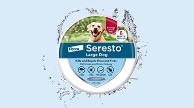 Seresto large dog flea and tick collar tin packaging with water droplets to represent water-resistance