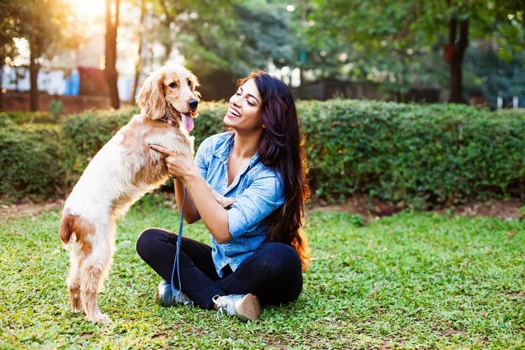 Les ordres à maîtriser lorsque l’on promène son chien dans un parc