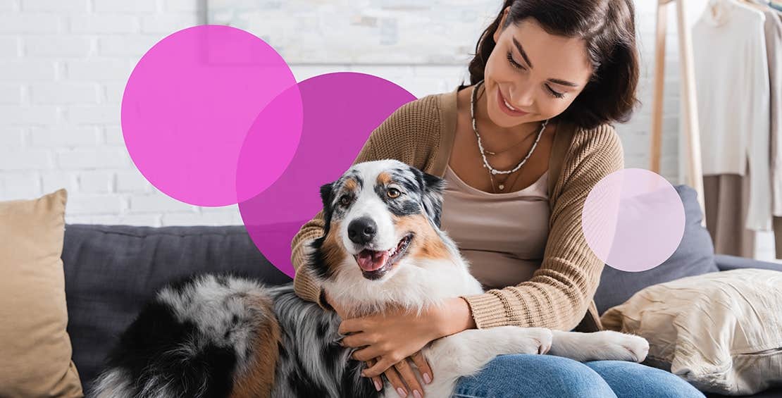 Adult dog smiling at camera while sitting on owners lap