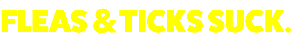 FLEAS & TICKS SUCK