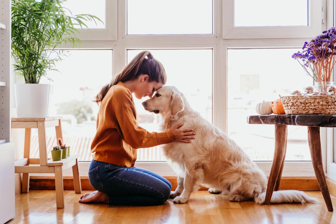 Los maravillosos beneficios de tener perros
