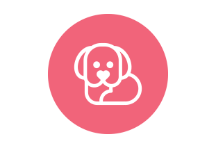 Como vermifugar filhotes