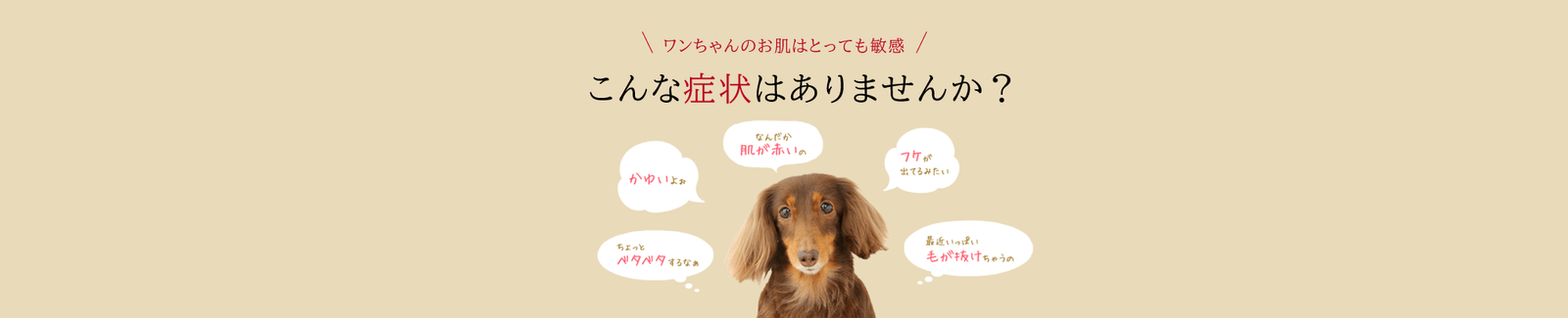 ヒノケア® デイリーケア　正しいシャンプー