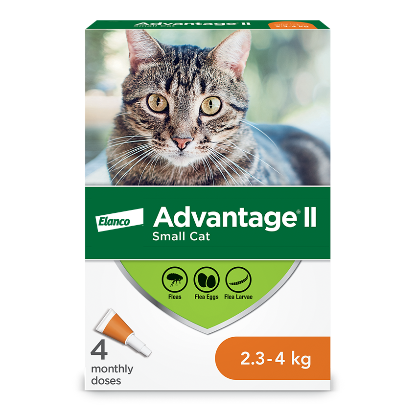 Advantage®II Flea Protection for Small Cats - 4 pack
