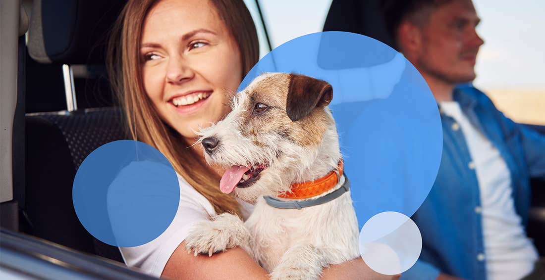 Smiling woman holding dog in passenger seat in car