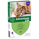 Advantage 80 for Cats 4kg