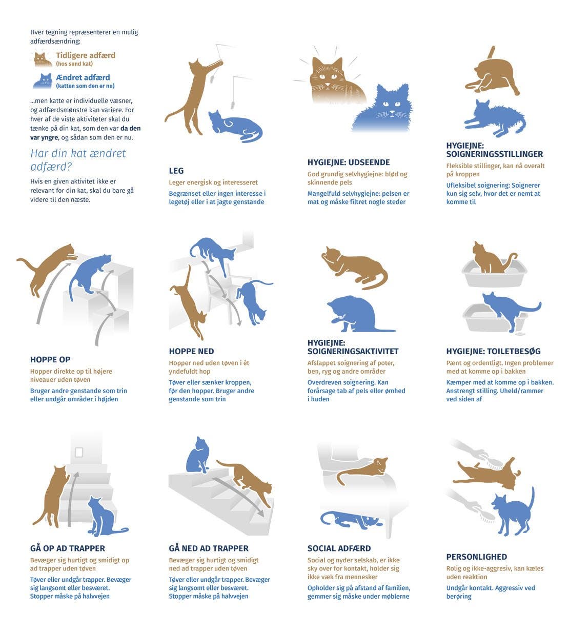 Info grafik om katteadfærd ændringer