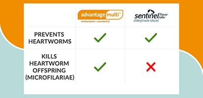 heartworm treatment comparison chart of Advantage Multi vs Sentinel