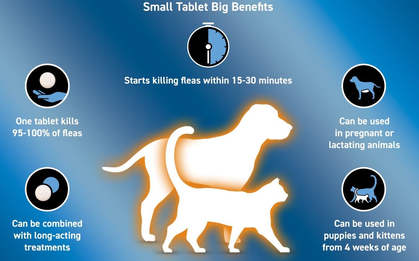 Capstar is a small tablet with big benefits