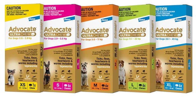 Advocate Ultra Chew Group Pack Shot