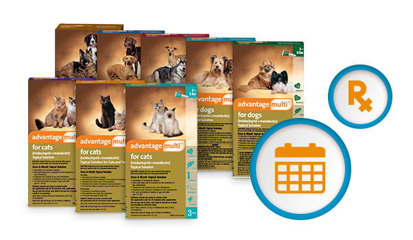 Advantage multi pack shots for pet sizes with prescription and dosage chart