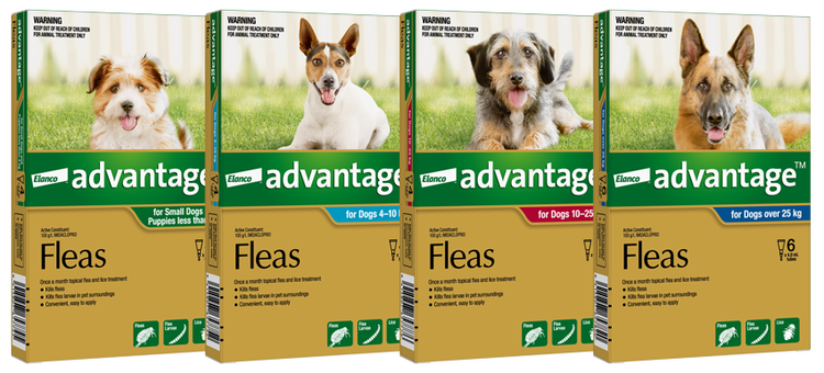 Advantage™ packaging available for dogs in their specific weight range.
