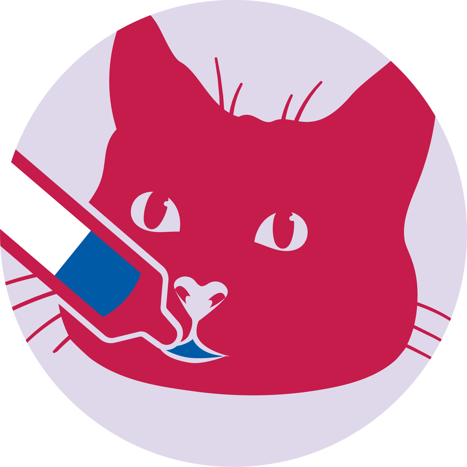 Cat dosing with Varenzin - step 4