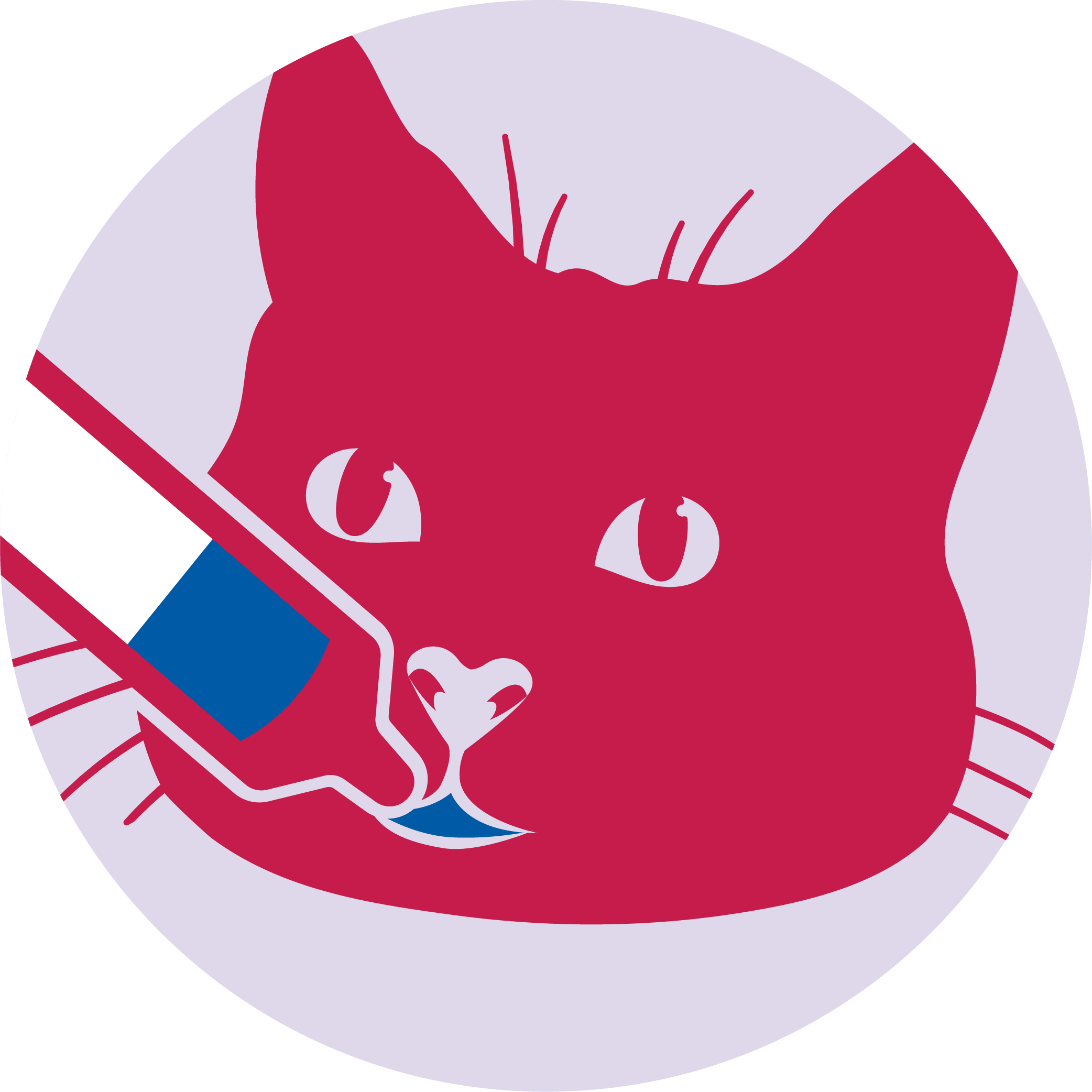 Cat dosing with Varenzin - step 4
