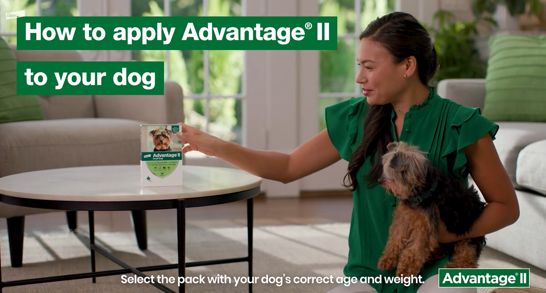 How to apply Advantage II Dog