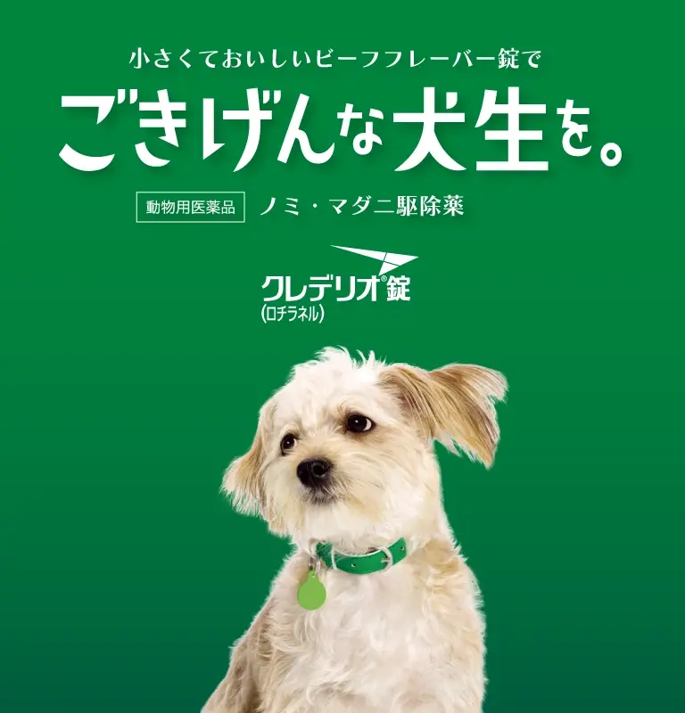犬のノミ・マダニ駆除薬「クレデリオ錠」 | エランコジャパン株式会社