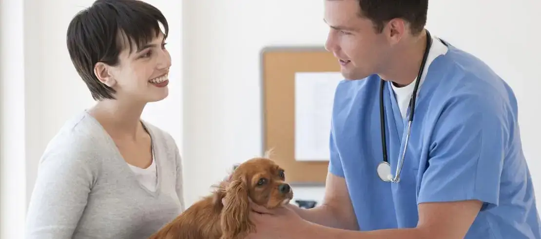 Majitelka drží psa, kterého vyšetřuje veterinář.