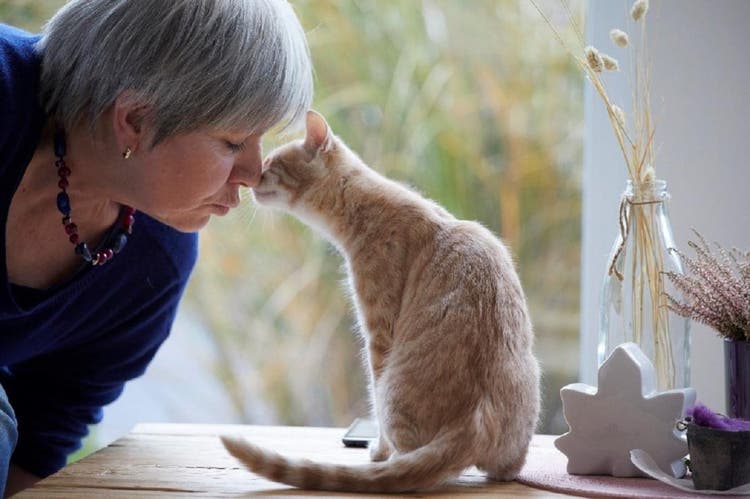 Kattenbaasje knuffelt met kat