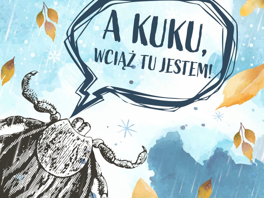 Kleszczowe mitowisko