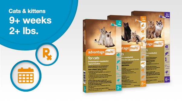 Advantage multi pack shots for cats sizes with prescription and dosage chart